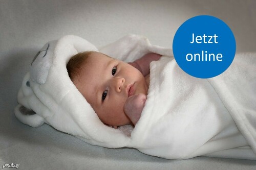 online: Bindungsorientierte Säuglingspflege
