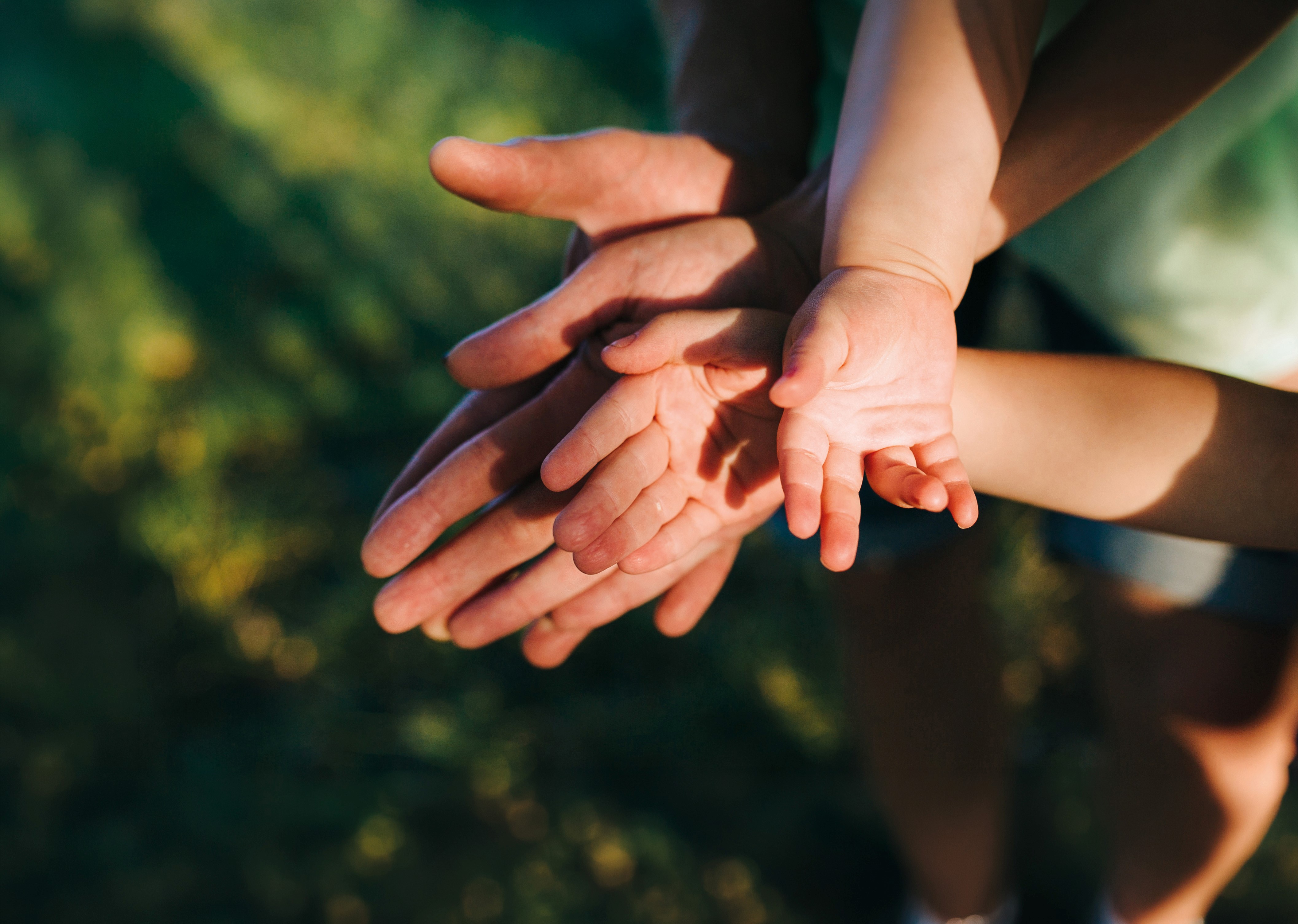 Zentrum der Familie